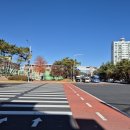 느리울중네거리 이미지