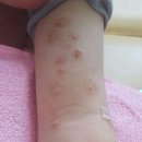 원남로-13 이미지