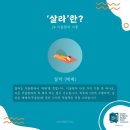 유창정비 | 이집트 시와 현지 가이드 '알리' 후기(가격과 일정, 특징, 연락 방법)