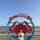 일번지상사 | [강원 삼척시] day-2(25.11.09. 일) : 결혼기념일 여행