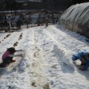 몽촌마을회관 이미지