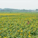 땅끝마을농장 이미지