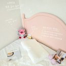 밀레니엄세탁 | 템퍼 에르고 플러스 베개 후기 템퍼 밀레니엄 베개와 뭐가 다를까?