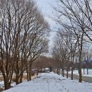 독립기념관 이미지