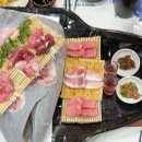 참치잡는날