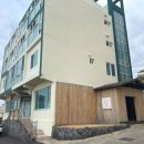 바당고띠 이미지