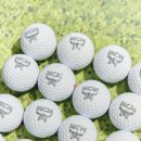 골프 인 이미지