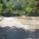 성호부동산공인중개사사무소 이미지