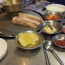 돌리고 제주도야지 이미지