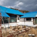 도문자작 이미지