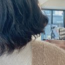 네이처헤어미아점