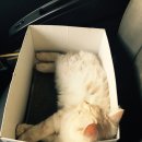 둘레길동물병원 이미지