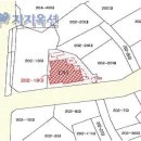 서귀동-19 이미지