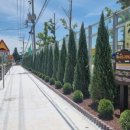 대흥중학교 이미지