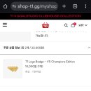 v5 v6 배찌샀어요 이미지