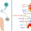 폐렴성 질환 예방법 이미지