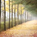 테크노월드 이미지