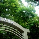 성사공원(테니스장 옆) 이미지