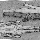 들꽃한의원 이미지