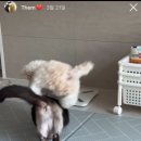 옹기종기 이미지