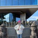 동화 속 바다여행 | 제주 동화마을 방문 후기 (제주 구좌 송당 가볼만한곳 코리코카페 내돈내산 지브리마을)