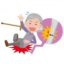 낙상 티스토리