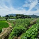 상노리 경로당 이미지