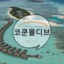 코쿤 몰디브 Cocoon Maldives resort