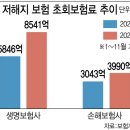 4월부터 비싸져요”…무해지보험 절판마케팅 ‘기승’ 이미지