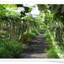 오하농장 이미지