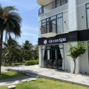 오션스파 | 나트랑 알마리조트 무료픽업 키즈 마사지 가능한 오션스파 후기