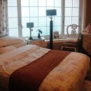 와일드 플라워 이미지