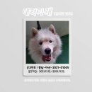 아산호로 이미지