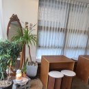 오운제주 이미지