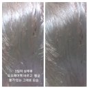 요요헤어 이미지