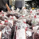 2025 청양 고추 구기자 축제(제26회) | 청양 고추 구기자 축제 2025 가격, 체험, 후기 총정리