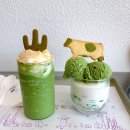 데일리오아시스동편