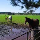 마린별장 이미지