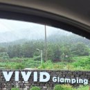 아이비비드 이미지