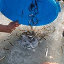 이야기78-일상의만 이미지