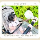 여름 육아 필수템 유모차 무드등 선풍기 맘앤리틀 원터치 사용 후기