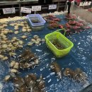 (주) 크레이지피쉬 이미지