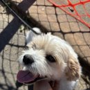 고래공원 이미지