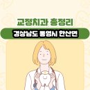한산면보건지소 | 경상남도 통영시 한산면 교정치과 총정리