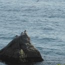 용강동서부시장 버스정류장 이미지