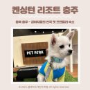펫 유토피아 네이버블로그
