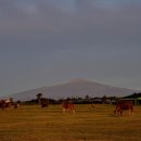 장연목장 이미지