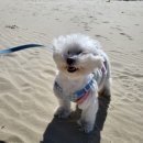 파라독스글램핑 이미지