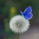 제일부동산중개 이미지