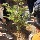 화개초왕성분교 이미지